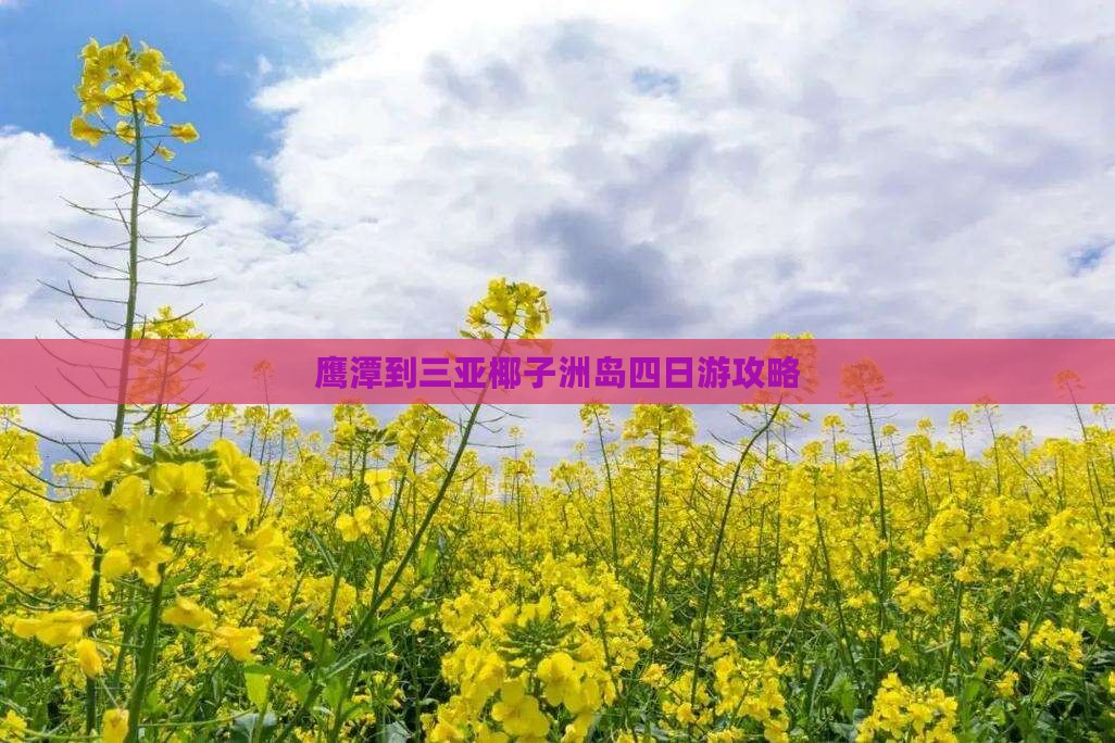 鹰潭去三亚椰子洲岛四日游