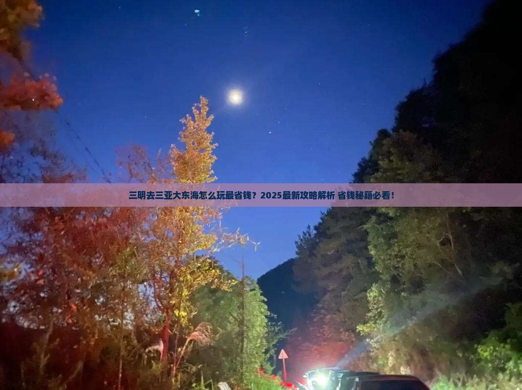 三明前往三亚大东海攻略
