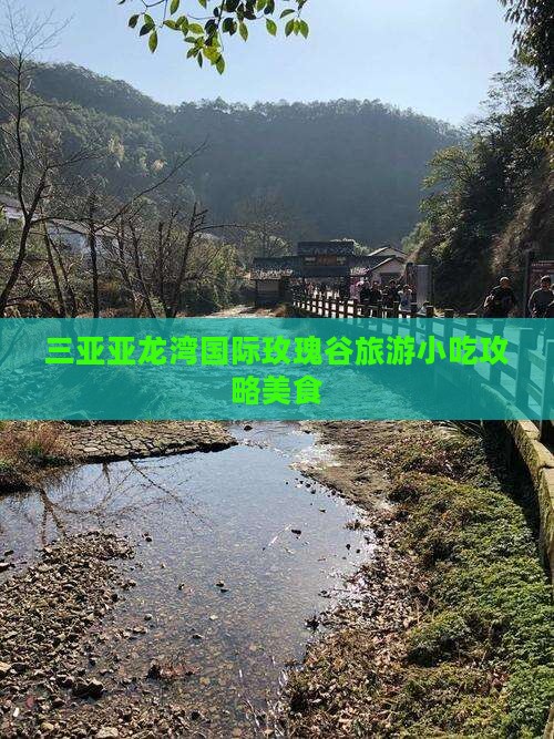 永州出发三亚亚龙湾国际玫瑰谷旅游小吃