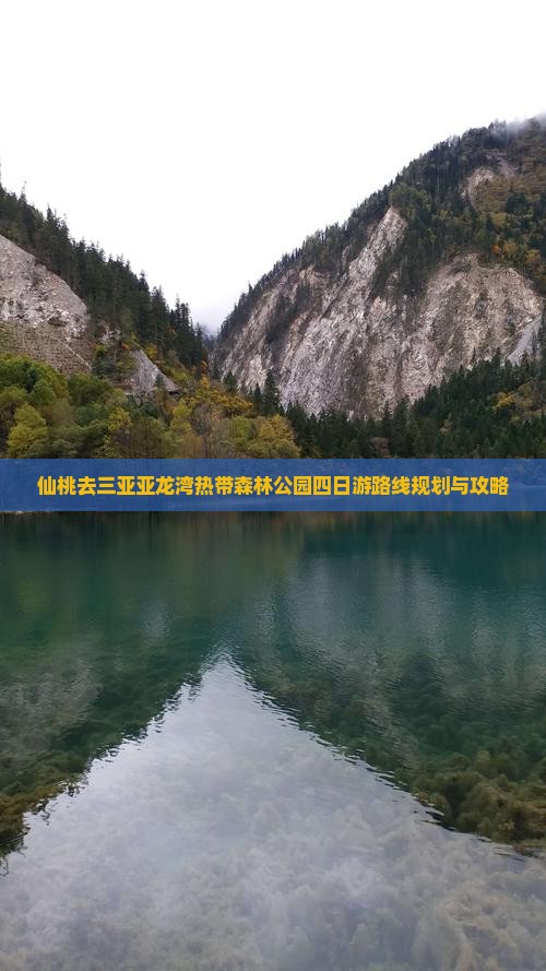 仙桃去三亚亚龙湾热带森林公园四日游