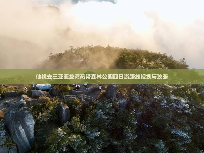 仙桃去三亚亚龙湾热带森林公园四日游