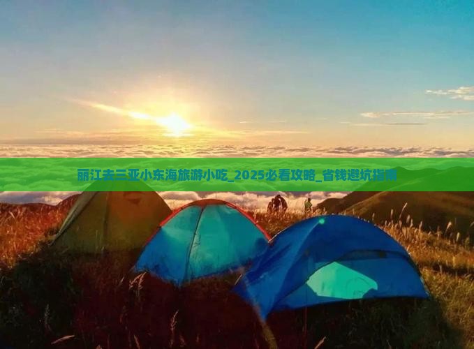 丽江去三亚小东海旅游小吃