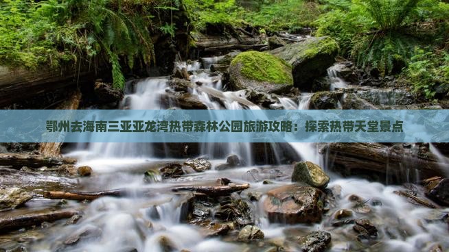 鄂州去三亚亚龙湾热带森林公园旅游网红地点