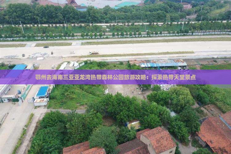 鄂州去三亚亚龙湾热带森林公园旅游网红地点