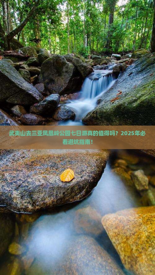 武夷山去三亚凤凰岭公园七日游