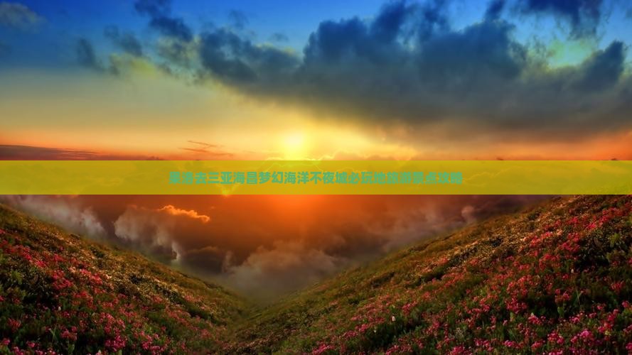 果洛去三亚海昌梦幻海洋不夜城必玩地