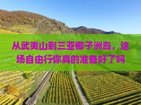武夷山出发三亚椰子洲岛自由行