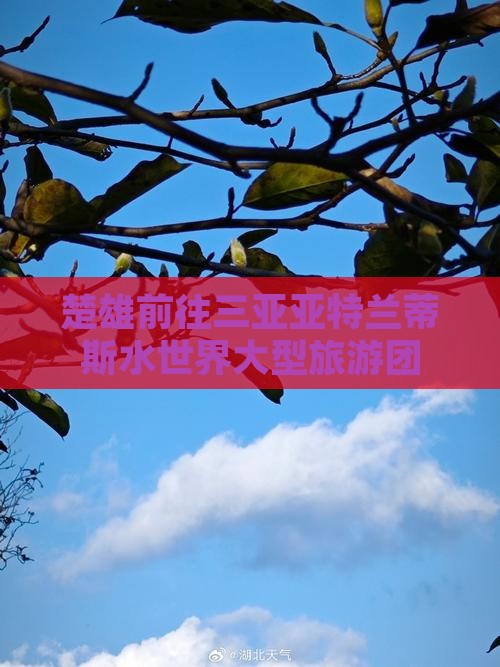 楚雄前往三亚亚特兰蒂斯水世界大型旅游团