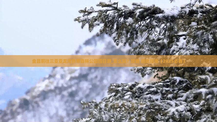 金昌前往三亚亚龙湾热带森林公园四日游
