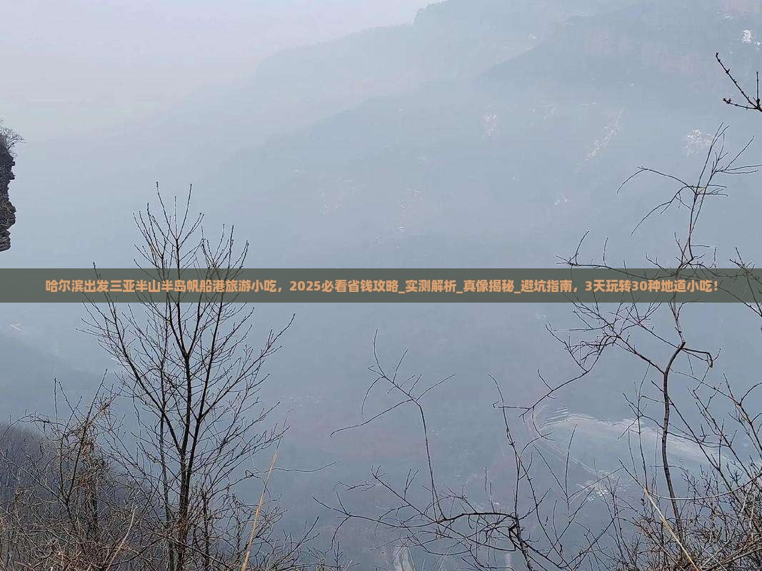 哈尔滨出发三亚半山半岛帆船港旅游小吃