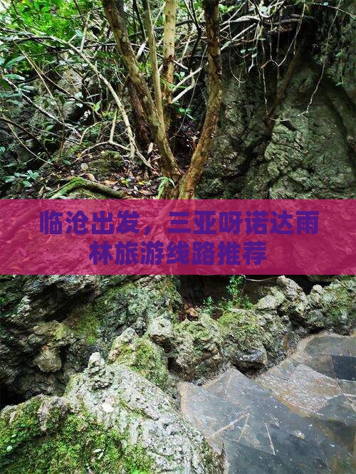 临沧去三亚呀诺达景区旅行社