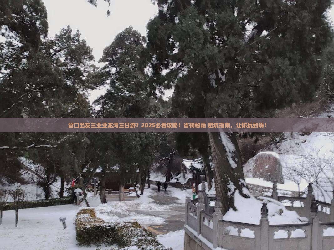 营口出发三亚亚龙湾三日游