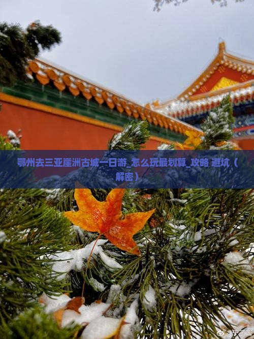 鄂州去三亚崖洲古城一日游
