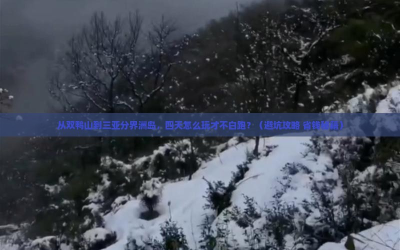 双鸭山去三亚分界洲岛四日游