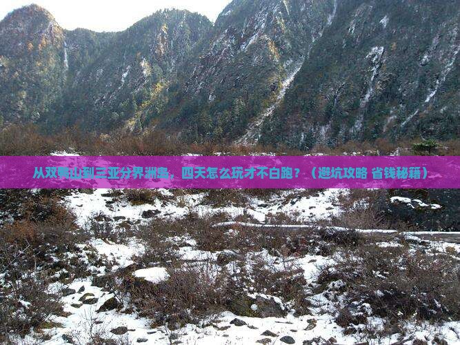 双鸭山去三亚分界洲岛四日游