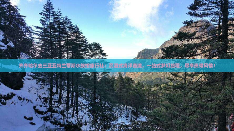 齐齐哈尔去三亚亚特兰蒂斯水族馆旅行社