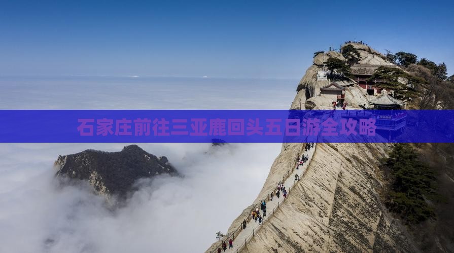 石家庄前往三亚鹿回头五日游 石家庄前往三亚鹿回头五日游