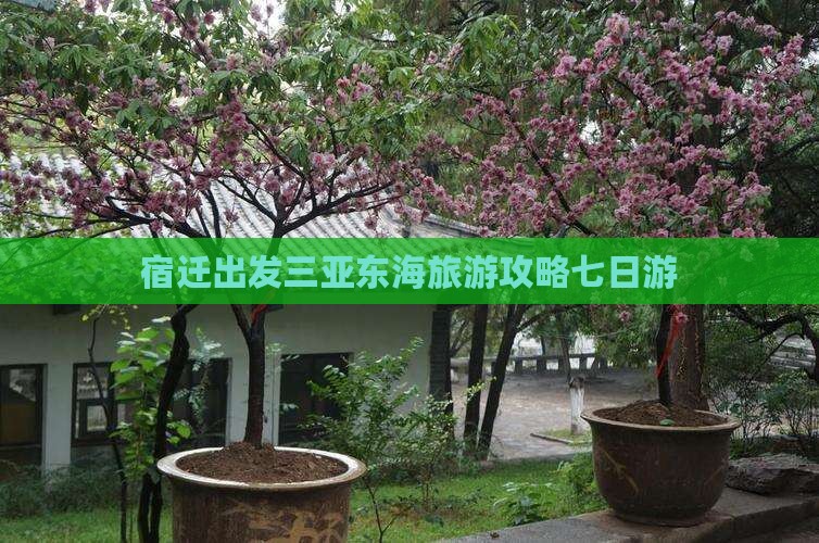 宿迁出发三亚小东海七日游
