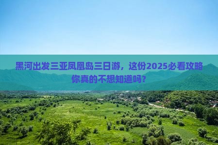 黑河出发三亚凤凰岛三日游