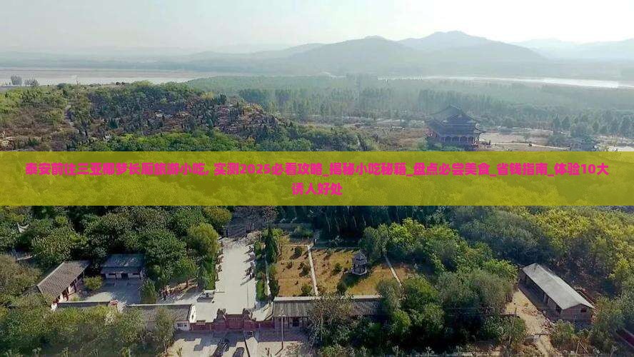 泰安前往三亚椰梦长廊旅游小吃