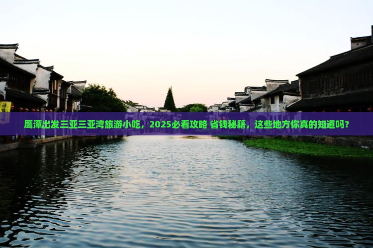 鹰潭出发三亚三亚湾旅游小吃