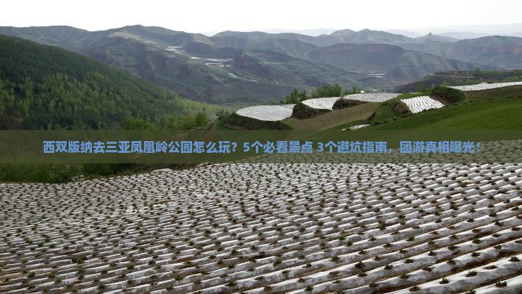 西双版纳去三亚凤凰岭公园团体旅游