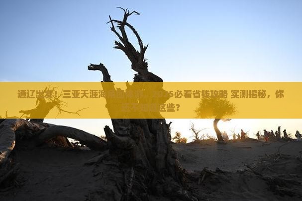 通辽前往三亚天涯海角团体旅游
