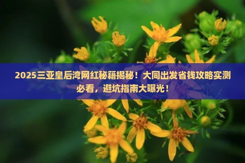 大同去三亚皇后湾旅游网红地点