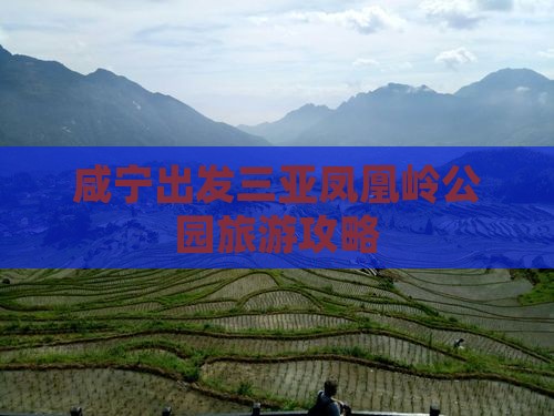 咸宁前往三亚凤凰岭公园旅行社