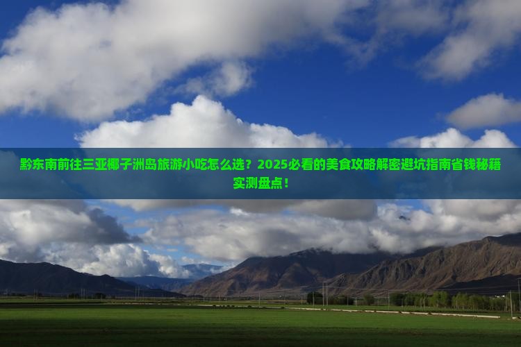 黔东南前往三亚椰子洲岛旅游小吃