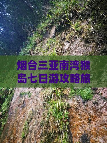 烟台去三亚南湾猴岛七日游