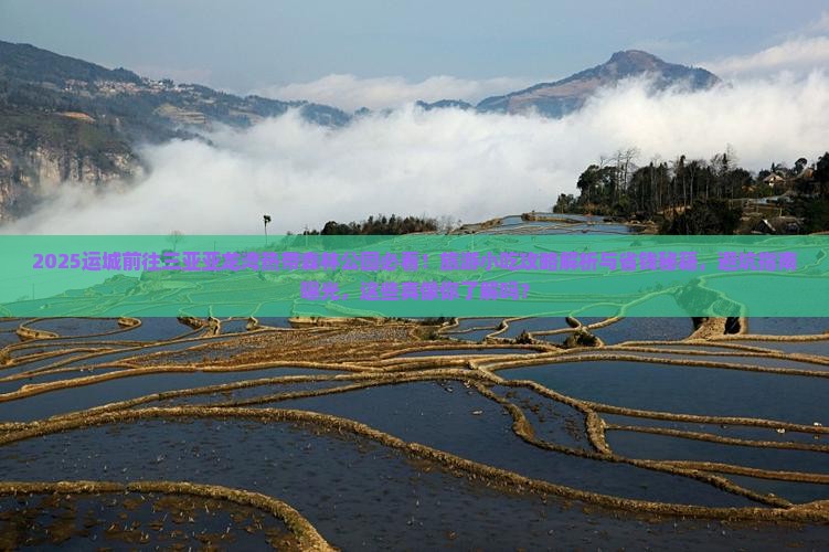 运城前往三亚亚龙湾热带森林公园旅游小吃