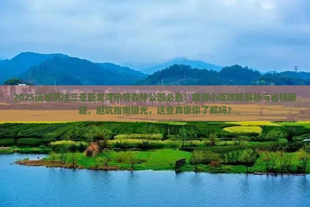 运城前往三亚亚龙湾热带森林公园旅游小吃