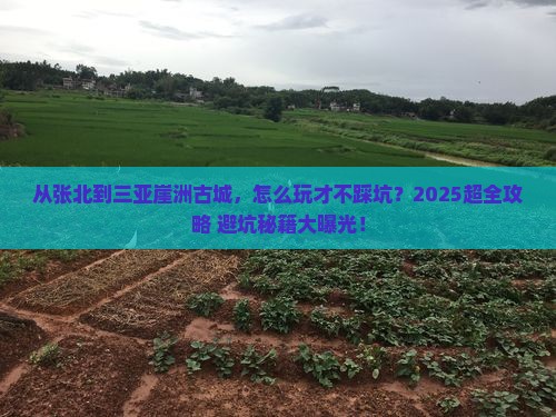 张北前往三亚崖洲古城旅行社