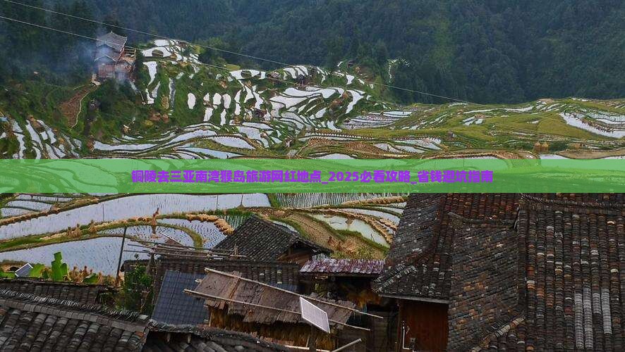 铜陵去三亚南湾猴岛旅游网红地点