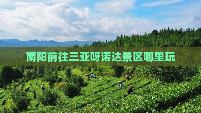 南阳前往三亚呀诺达景区哪里玩