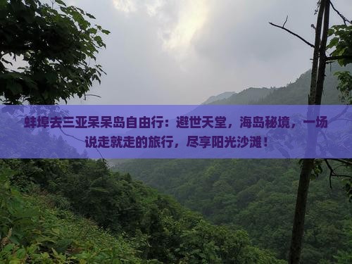 蚌埠去三亚呆呆岛自由行