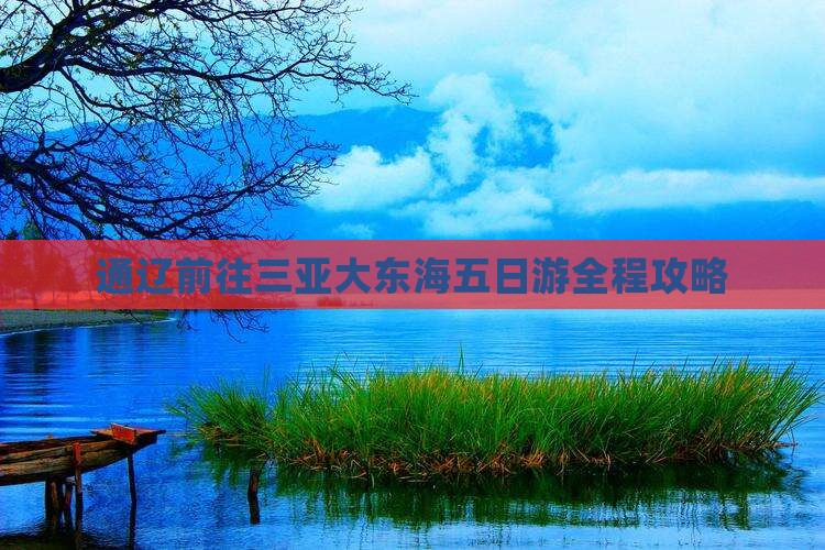 通辽前往三亚大东海五日游