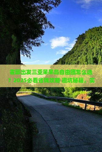 霍邱出发三亚呆呆岛自由团