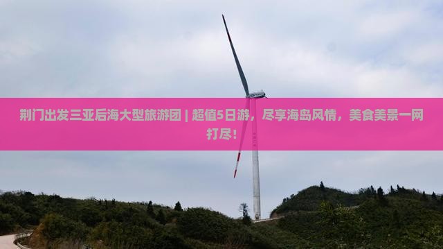 荆门出发三亚后海大型旅游团