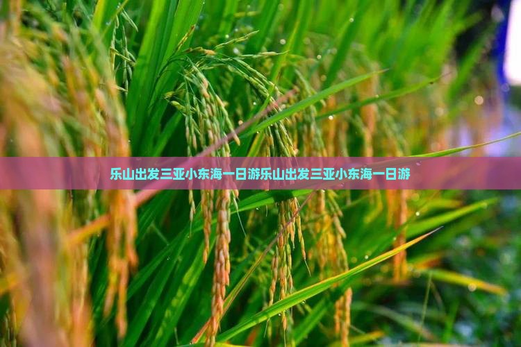乐山出发三亚小东海一日游