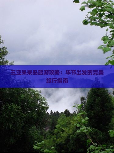 毕节去三亚呆呆岛旅行社