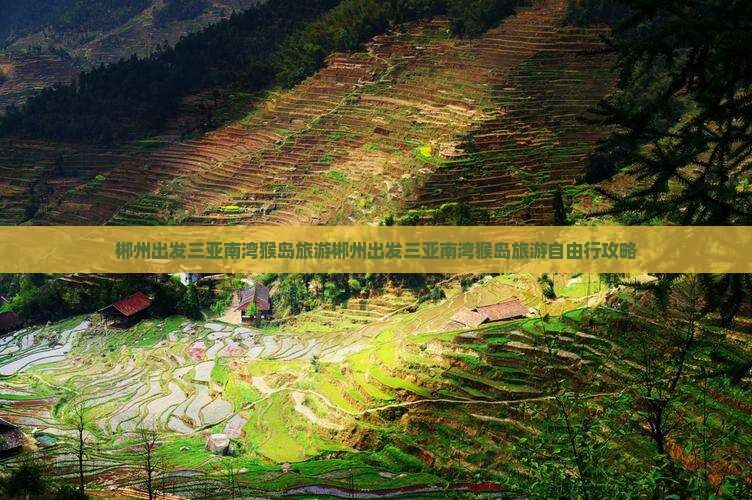 郴州出发三亚南湾猴岛旅游 郴州出发三亚南湾猴岛旅游