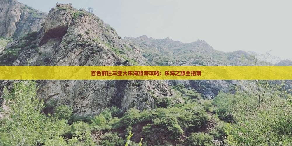 百色前往三亚大东海个人游