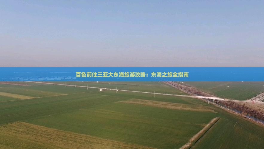 百色前往三亚大东海个人游