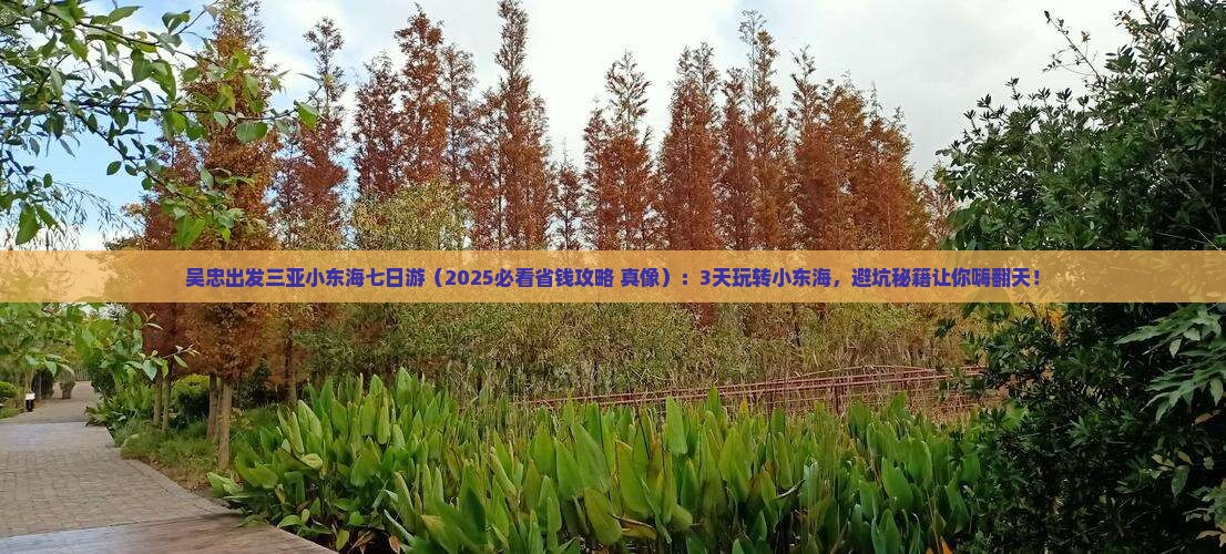 吴忠出发三亚小东海七日游