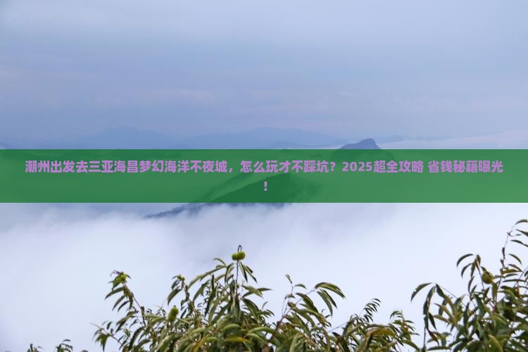 潮州前往三亚海昌梦幻海洋不夜城旅行社