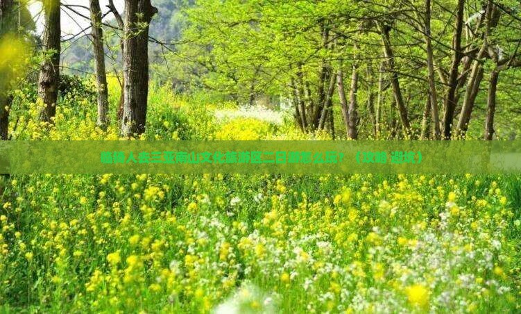 临猗去三亚南山文化旅游区二日游