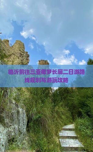 临沂前往三亚椰梦长廊二日游