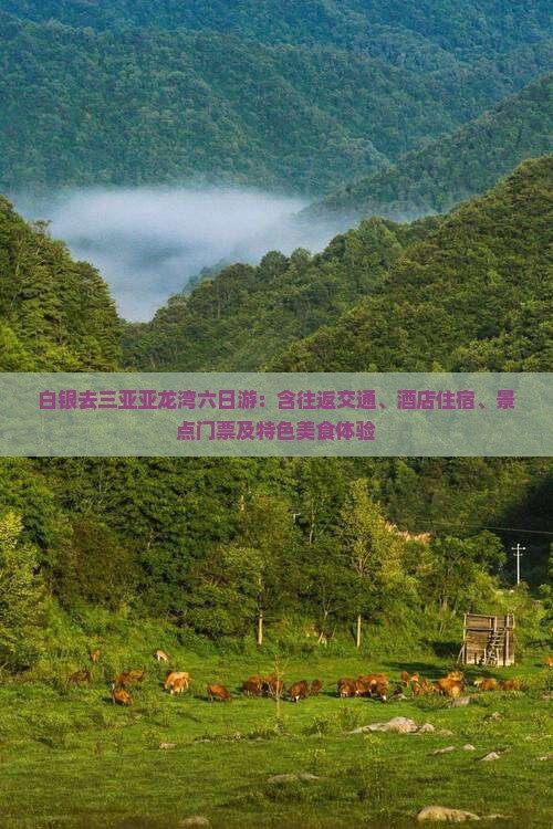 白银去三亚亚龙湾六日游